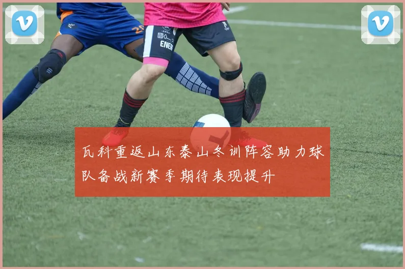 瓦科重返山东泰山冬训阵容助力球队备战新赛季期待表现提升