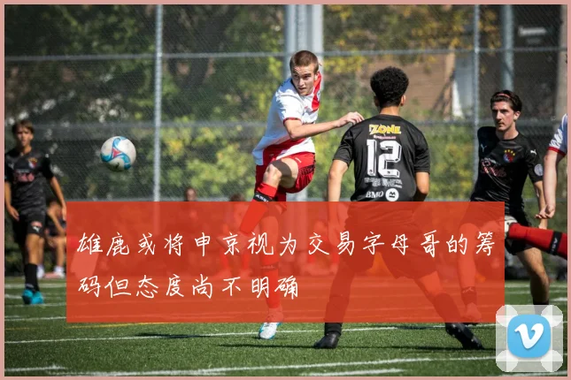 雄鹿或将申京视为交易字母哥的筹码但态度尚不明确